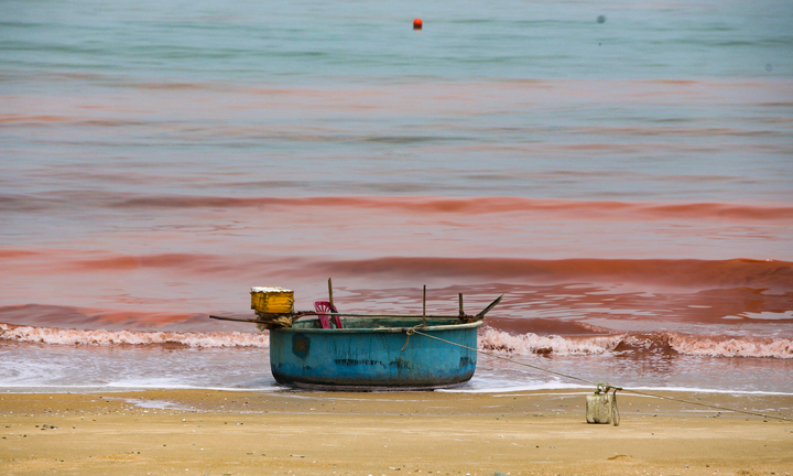 Nước biển ở Hà Tĩnh có màu đỏ như máu