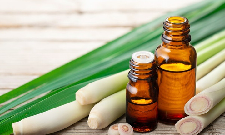 Cách đuổi muỗi hiệu quả bằng những nguyên liệu tự nhiên