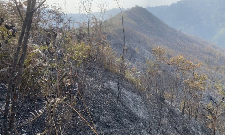 Gần 2,5ha rừng tái sinh ở Yên Bái bị lửa thiêu rụi