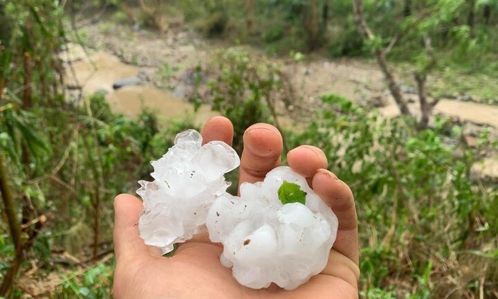 Mưa đá to bằng quả mận ập xuống huyện miền núi Nghệ An