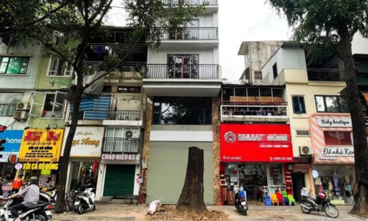 Cây sao đen nghi bị 'bức tử' trên phố Lò Đúc: 'Cứ nhà mới mọc lên là cây chết'