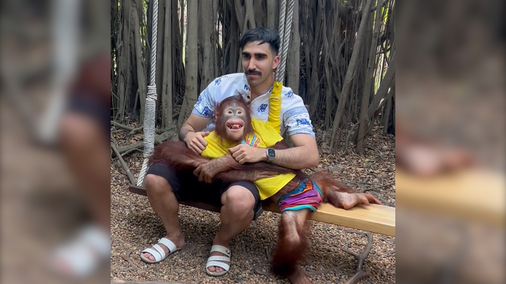 Đười ươi tạo dáng như người mẫu chụp ảnh cùng du khách