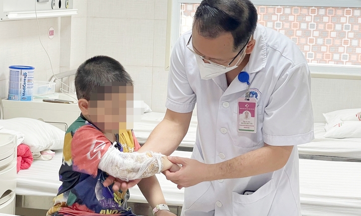 Bé 3 tuổi chấn thương, vỡ thận do bị chó béc-giê tấn công