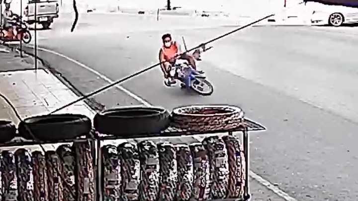 Khỉ hoang điên cuồng quật ngã người đi xe máy 