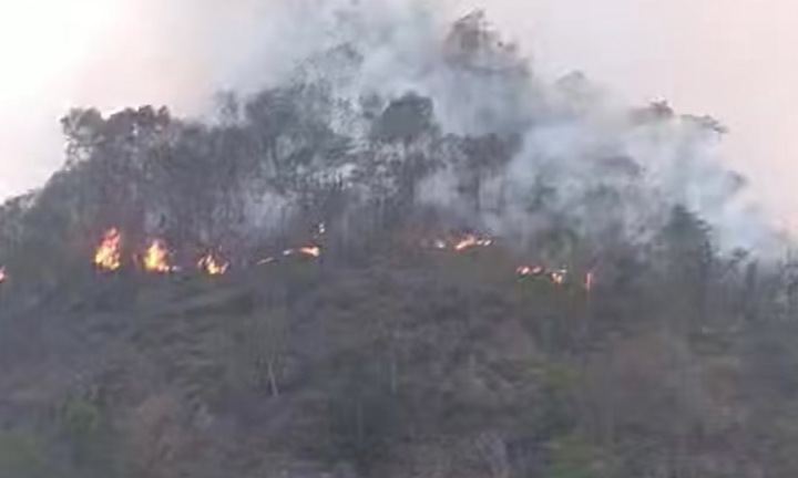 Huy động gần 250 người dập đám cháy rừng tại Sơn La