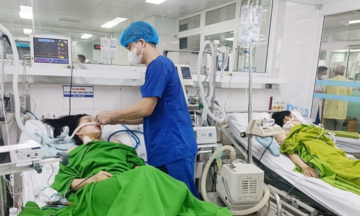 Hai chị em nguy kịch sau bữa cơm trưa với rau rừng