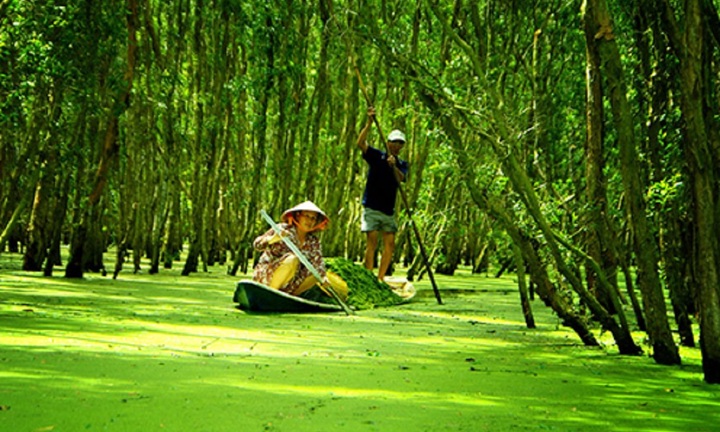 Khu rừng ở Việt Nam được thế giới xếp hạng quý hiếm