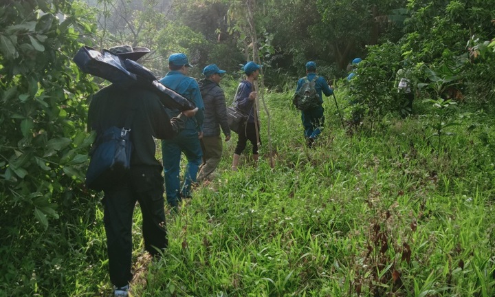 Công an bác tin có người đào được kỳ nam giá 10 tỷ đồng ở Phú Yên