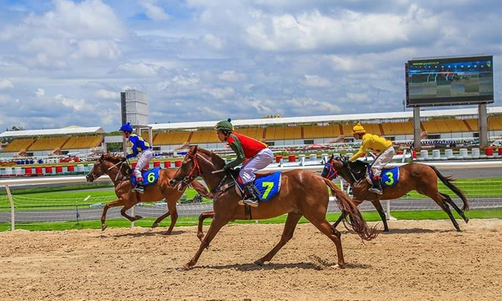 Hoàn thành việc sửa quy định đặt cược đua ngựa, đua chó, bóng đá trong năm 2025