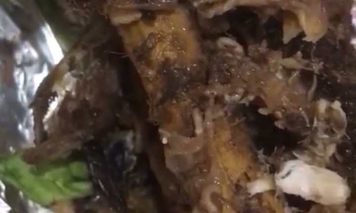Dòi bò lúc nhúc trong cá lóc nướng ở Buôn Ma Thuột