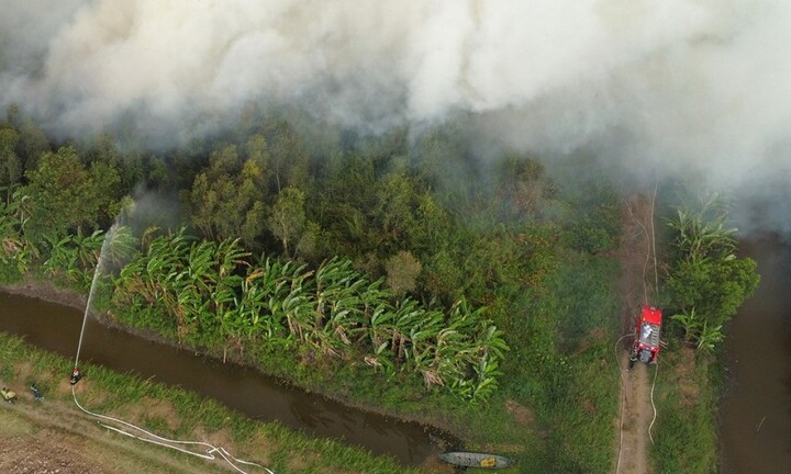 Hiện trường vụ cháy hàng chục hecta rừng tràm ở Cà Mau