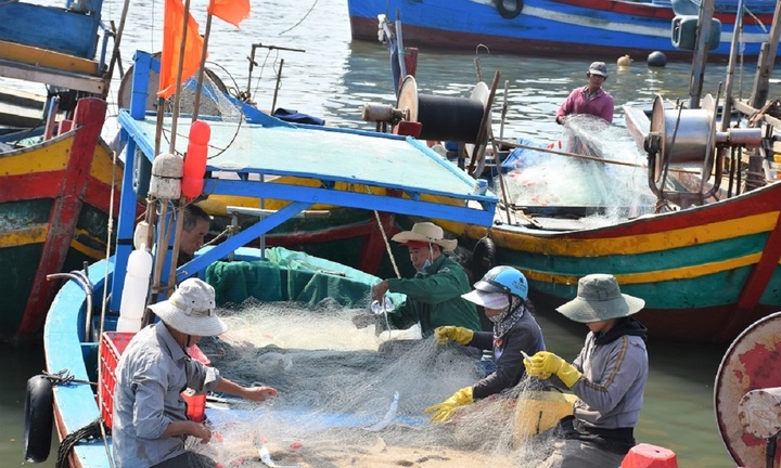 Khai thác thủy sản không phép bị phạt tới 100 triệu đồng
