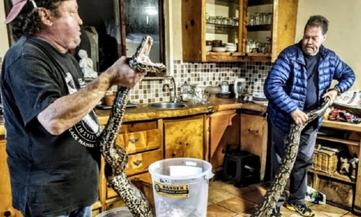 Tưởng có trộm khi nghe tiếng động lạ, ai ngờ là 'quái thú' hung dữ