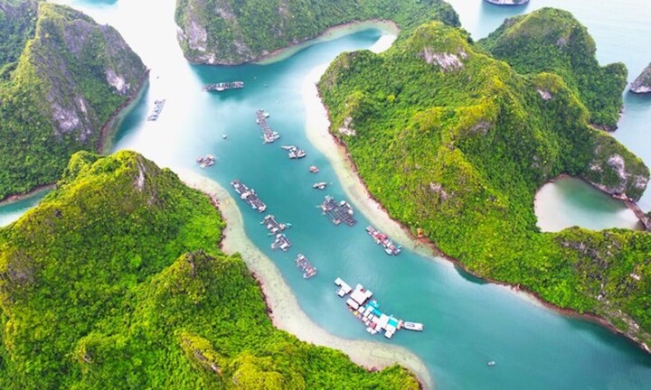 Làng chài cổ đẹp nhất thế giới ở vịnh Hạ Long tạm dừng đón khách