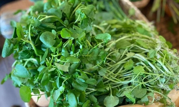 Loại rau được đánh giá 'bẩn nhất' nhưng có thể giúp ngăn ngừa ung thư