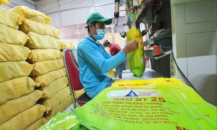 Miễn thuế 9 loại gạo Việt xuất châu Âu, không có ST25