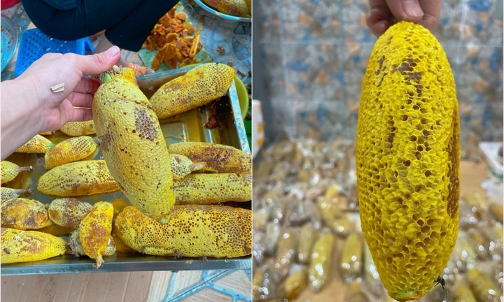 Mật ong ruồi tí hon giá tiền triệu/lít có gì độc lạ?