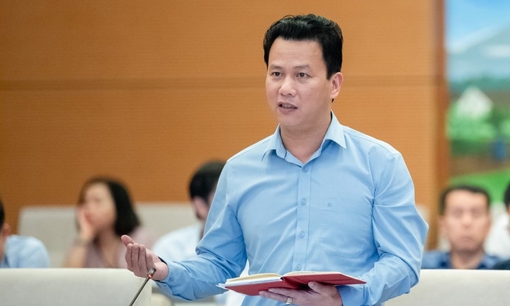 Thủ tục của mỏ đất san lấp 'phải thực hiện như một mỏ vàng'