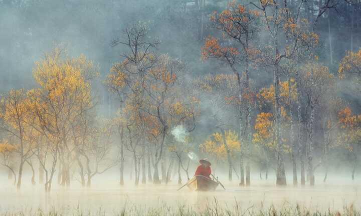 Ngắm suối Tía Đà Lạt đẹp tựa tiên cảnh lúc sáng sớm