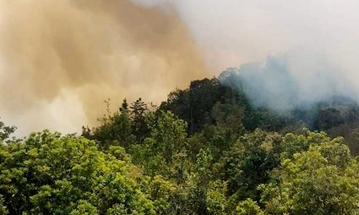 Hai kiểm lâm tử nạn khi chữa cháy rừng Tây Côn Lĩnh