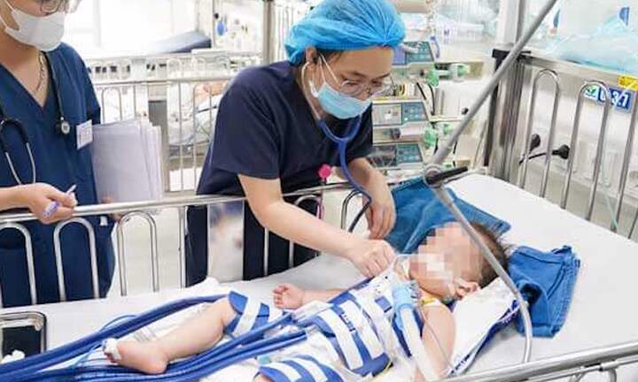 Ngã xuống hồ cá Koi, bé 2 tuổi nguy kịch