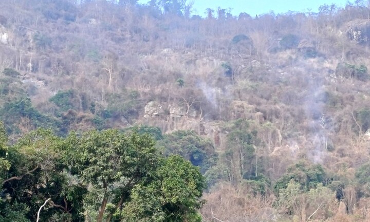 An Giang: Vụ cháy rừng tầm vông trên núi Cô Tô đã được khống chế