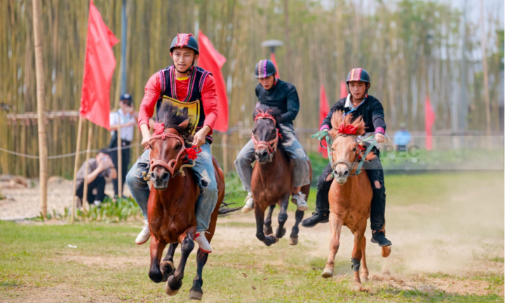 Mãn nhãn chuỗi sự kiện Giải Đua Ngựa Tây Bắc tại Nghĩa Lộ, Yên Bái