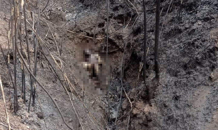 Phát hiện 3 bố con chết cháy trong khe núi ở Điện Biên