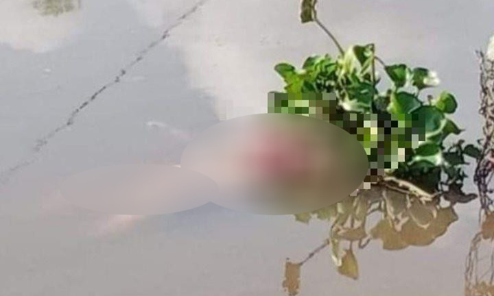 Điều tra vụ thi thể phụ nữ nổi trên rạch ở Củ Chi