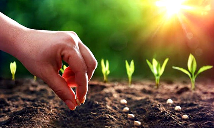 Nghe pháp để hiểu luật nhân quả, tài xế sẽ bớt lái ẩu, bất chấp mạng người