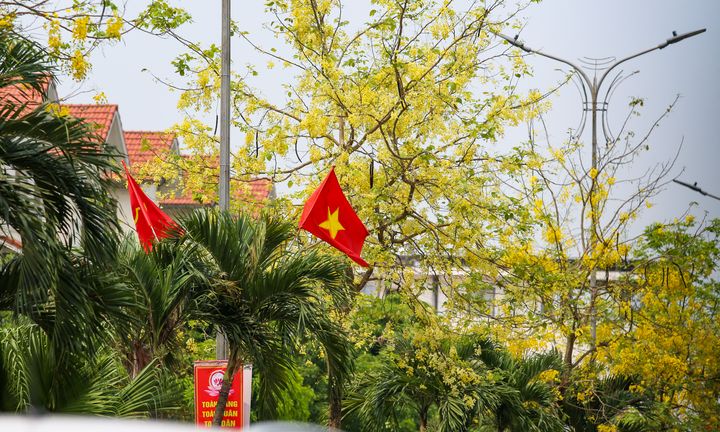 Hoa muồng hoàng yến nhuộm vàng cung đường ‘triệu đô’ ở thành phố Hà Tĩnh