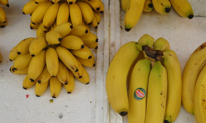 Khi mua chuối nên chọn quả to hay quả nhỏ?