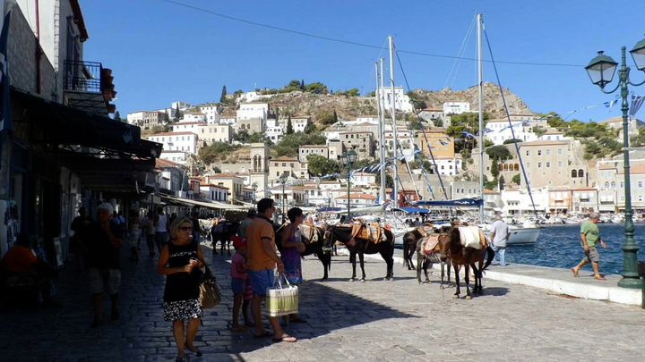 Kỳ lạ hòn đảo cấm ô tô chỉ dùng thú 4 chân đi lại