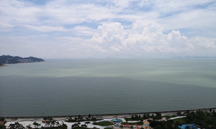 Nhảy xuống biển bơi sang Macao trốn nợ, người đàn ông gặp họa vừa bi vừa hài