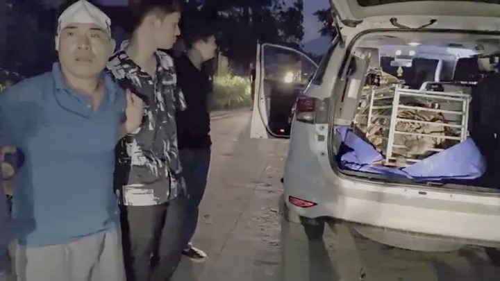 Bắt khẩn cấp tài xế xe Toyota Fortuner chở con hổ nặng 265kg đi tiêu thụ