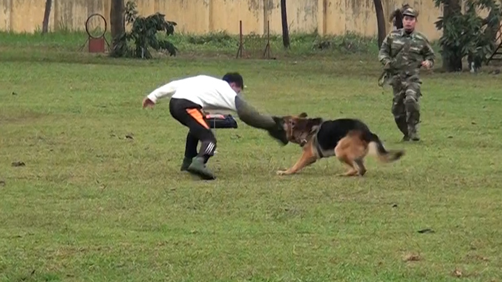 Khuyển binh phi qua vòng lửa, khống chế tội phạm