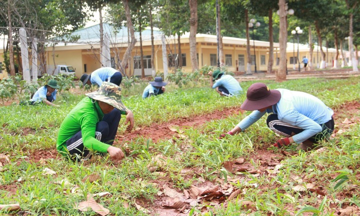Bắt giam Phó trưởng Phòng Y tế cơ sở cai nghiện ma túy Bà Rịa - Vũng Tàu