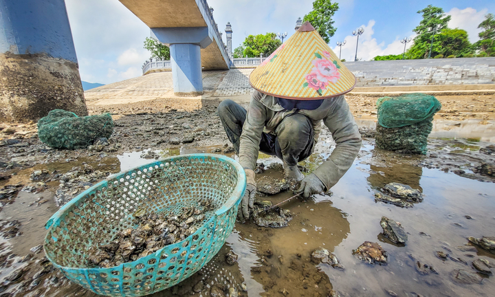 Nghề đẽo đá 'ra tiền' của những người phụ nữ vùng biển
