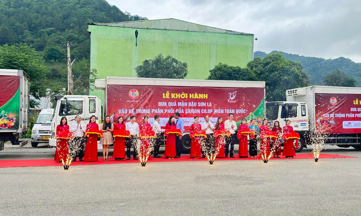 Saigon Co.op cam kết tiêu thụ mận hậu và nông sản tỉnh Sơn La