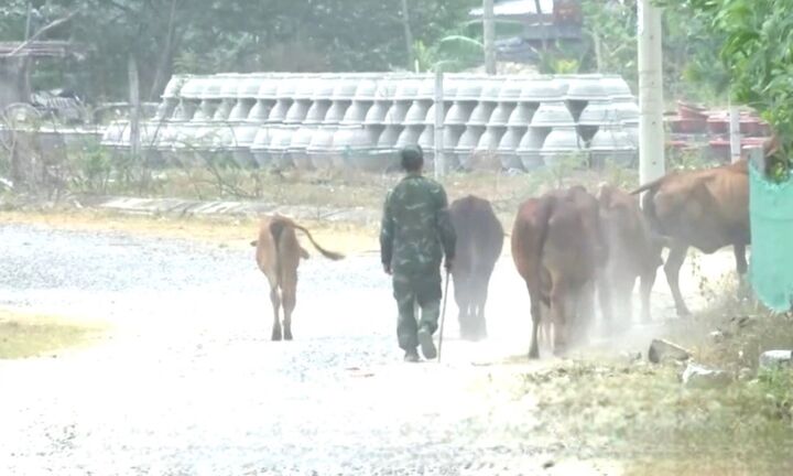  Hơn 10 năm sống cảnh nắng bụi mưa lầy, dân tái định cư kêu trời 