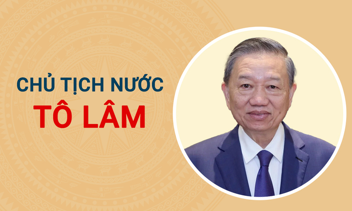 Infographic: Sự nghiệp tân Chủ tịch nước Tô Lâm