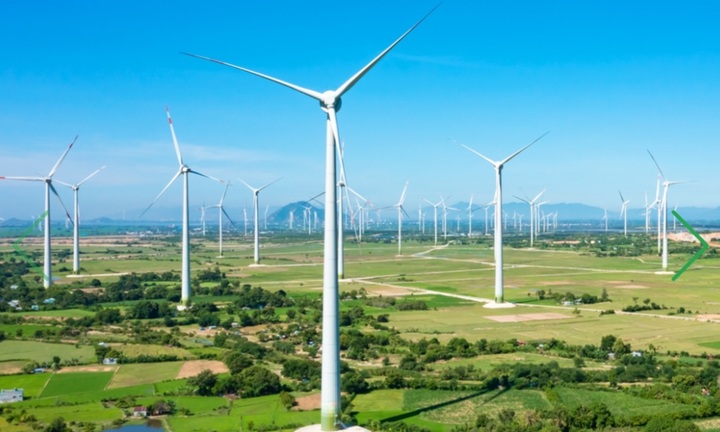 Chủ tịch Trung Nam Group Nguyễn Tâm Thịnh bị tạm hoãn xuất cảnh