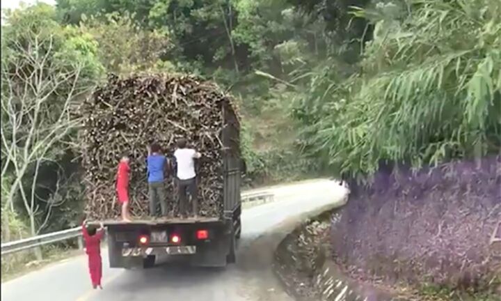 Bám vào phương tiện giao thông đang chạy bị xử phạt bao nhiêu tiền?