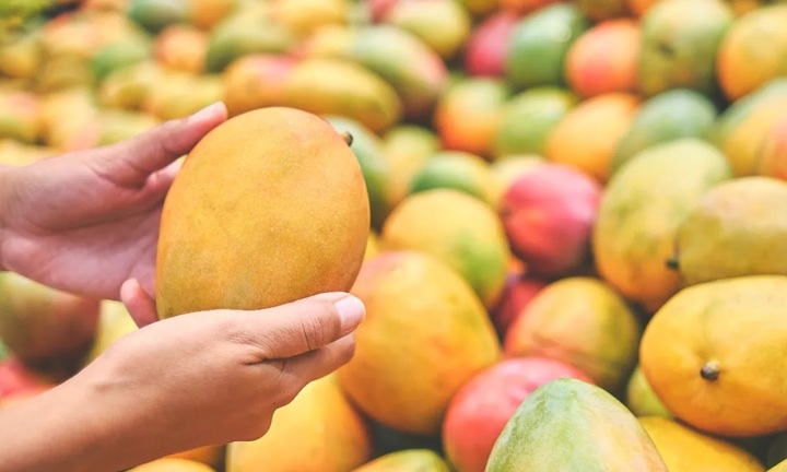 Mẹo nhận biết xoài chín bằng hóa chất hay chín tự nhiên