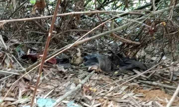 Phát hiện thi thể nghi của kẻ giết người tình rồi bỏ trốn vào rừng sâu