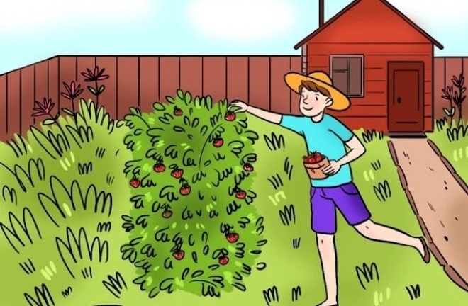 Đố bạn tìm ra lỗi sai duy nhất trong bức ảnh