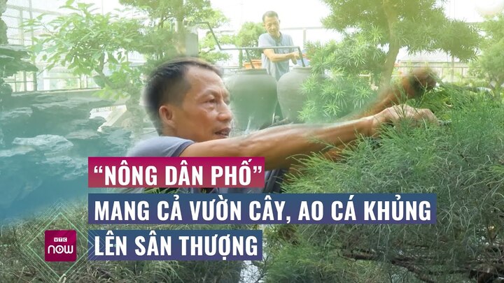 Người đàn ông mang cả vườn cây, ao cá 'khủng' lên sân thượng