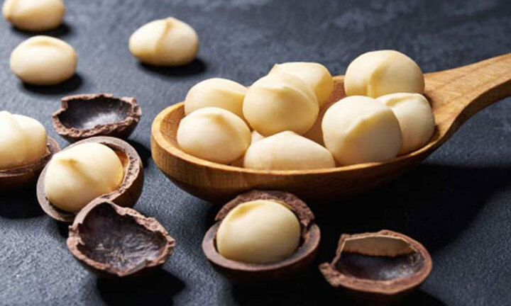 Hạt macca có tác dụng gì?