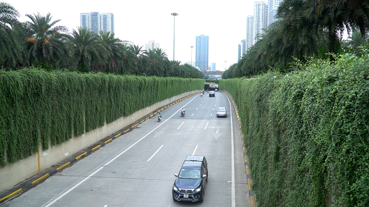 'Bức tường xanh' phủ kín dây leo đẹp như tranh giữa lòng Hà Nội 