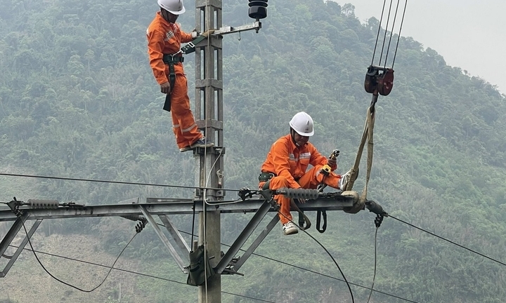 Điện lực miền Trung cử 245 cán bộ đến Quảng Ninh hỗ trợ khôi phục lưới điện